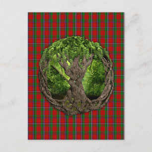 Carte Postale Arbre Celtique De Vie Et Clan Sinclair Tartan
