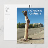 Carte postale Arbre Cool de Los Angeles ! (Devant / Derrière)