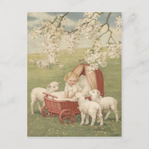 Carte Postale Arbre Cornouiller Champ Chien Agneau Bébé