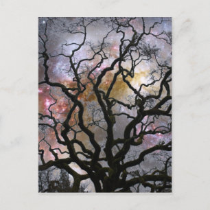 Carte Postale Arbre cosmique - Galaxies en collision