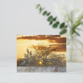 Carte Postale Arbre coucher de soleil hiver Vermont (Debout devant)