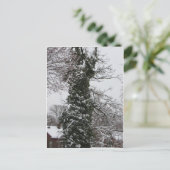 Carte Postale Arbre couvert de neige (Debout devant)