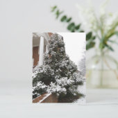 Carte Postale Arbre couvert de neige (Debout devant)
