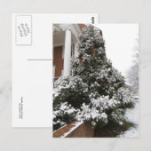 Carte Postale Arbre couvert de neige (Devant / Derrière)