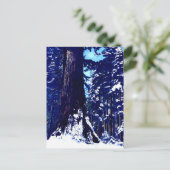 Carte Postale Arbre couvert de neige (Debout devant)