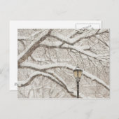 Carte Postale Arbre couvert de neige 2 (Devant / Derrière)