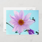 Carte Postale Arbre Dahlia (Devant / Derrière)