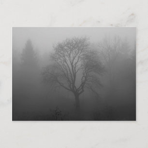 Carte Postale Arbre dans le brouillard