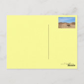 Carte Postale Arbre dans le désert, Sud Sinaï, Egypte (Dos)