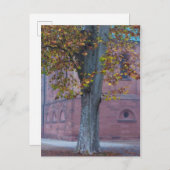 Carte Postale Arbre dans le parc de la Cathédrale| Allemagne (Devant / Derrière)