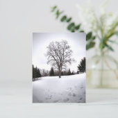 Carte Postale Arbre dans le paysage Neige du début du printemps (Debout devant)