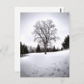 Carte Postale Arbre dans le paysage Neige du début du printemps (Devant / Derrière)