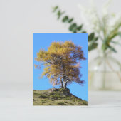 Carte Postale Arbre d'automne (Debout devant)