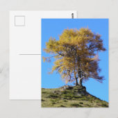Carte Postale Arbre d'automne (Devant / Derrière)
