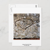 Carte Postale Arbre D'Automne Au Vent Par Schiele Egon (Devant / Derrière)