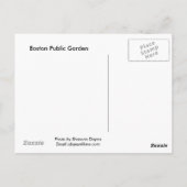 Carte Postale Arbre d'automne dans le jardin public de Boston (Dos)