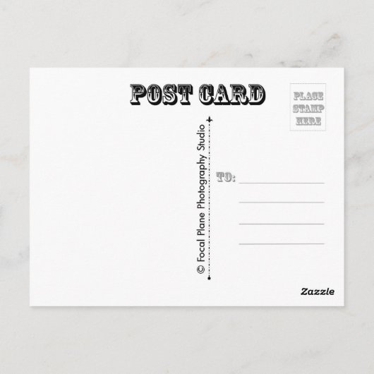 Carte Postale Arbre d'automne en noir et blanc (Dos)