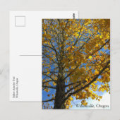 Carte Postale Arbre d'automne jaune (Devant / Derrière)