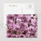 CARTE POSTALE ARBRE DE BLOSSOM (Devant / Derrière)