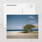 Carte Postale Arbre de Bonaire (Devant / Derrière)