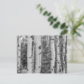 Carte Postale Arbre de bouleau dans les bois (Debout devant)