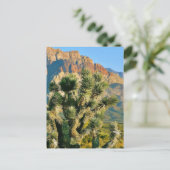 Carte Postale Arbre de cactus (Debout devant)