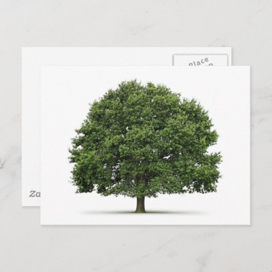 Carte Postale Arbre de chêne (Devant / Derrière)