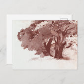 Carte Postale Arbre de chêne (Devant / Derrière)