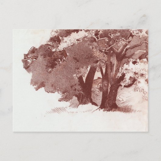 Carte Postale Arbre de chêne (Devant)