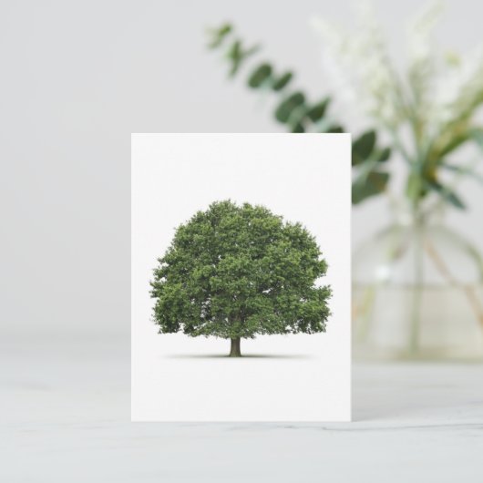 Carte Postale Arbre de chêne (Debout devant)