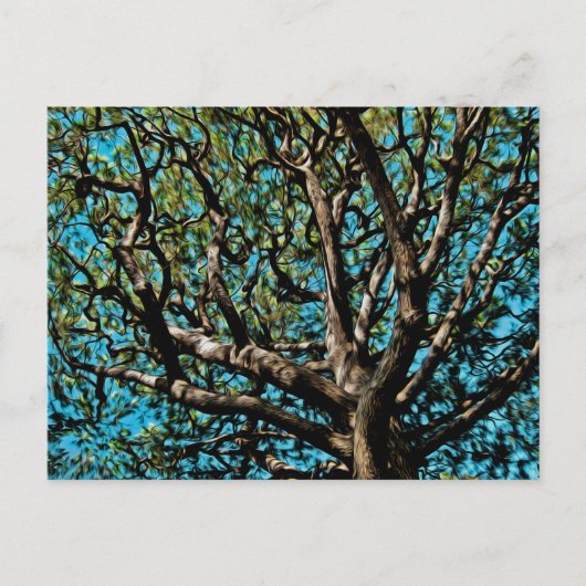 Carte Postale Arbre de chêne (Devant)