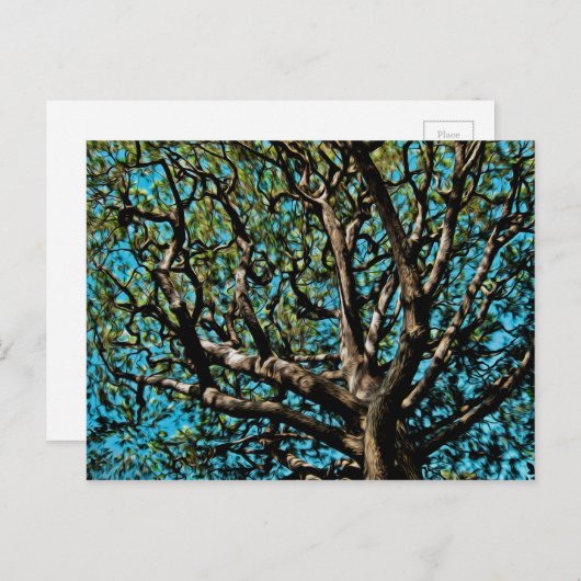 Carte Postale Arbre de chêne (Devant / Derrière)