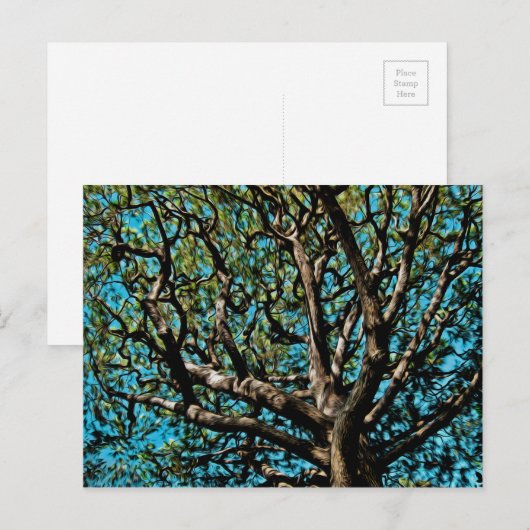 Carte Postale Arbre de chêne (Devant / Derrière)