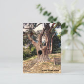 Carte Postale Arbre de film de magicien célèbre (Debout devant)