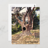 Carte Postale Arbre de film de magicien célèbre (Devant / Derrière)