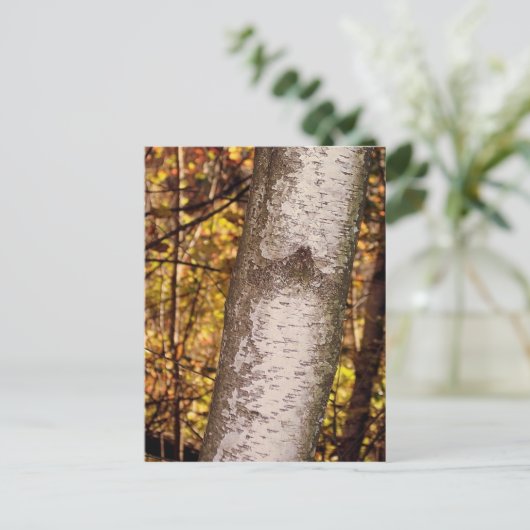 Carte Postale arbre de frêne (Debout devant)