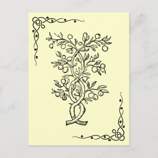 Carte postale Arbre de fruits (Devant)