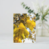 Carte Postale Arbre de Kowhai (Debout devant)