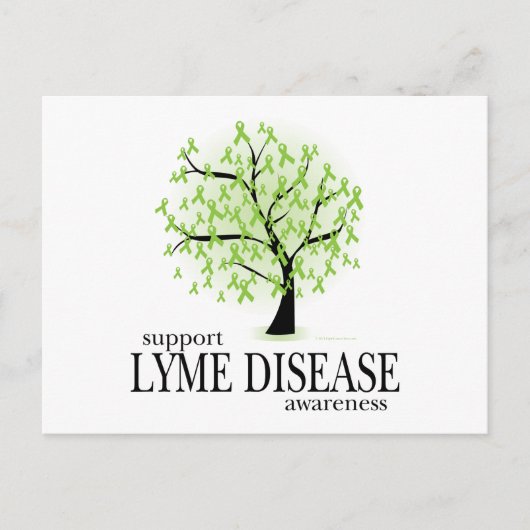 Carte Postale Arbre de la maladie de Lyme (Devant)
