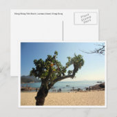 Carte Postale arbre de la plage de hung shing yeh (Devant / Derrière)