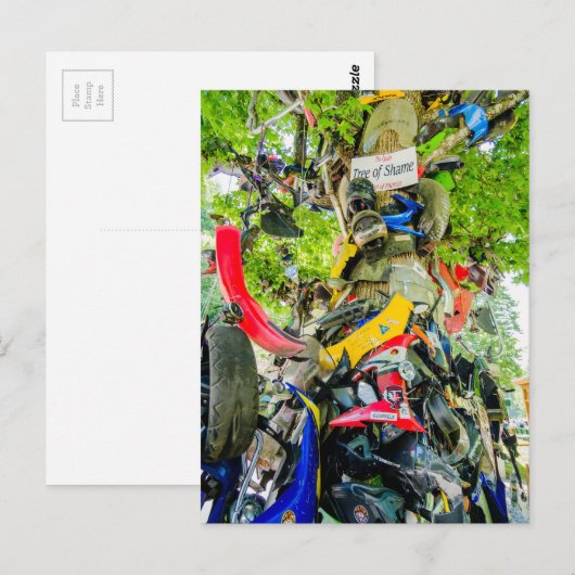 Carte Postale arbre de la queue de honte du dragon (Devant / Derrière)