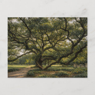 Carte Postale Arbre de la vie du Sud Art de chêne vivant Car