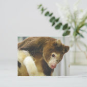 Carte postale Arbre de Matchs Kangaroo (Debout devant)