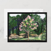 Carte Postale Arbre de myrte de crêpe (Devant / Derrière)