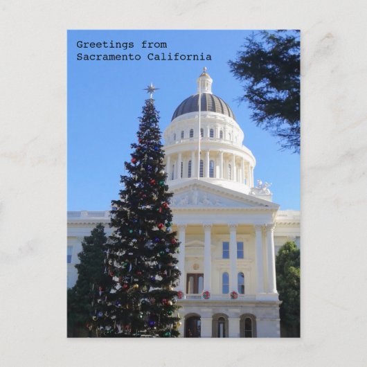 Carte Postale Arbre de Noël au Capitole (Devant)