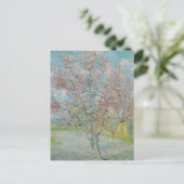 Carte Postale Arbre de pêche à fleurs (Debout devant)
