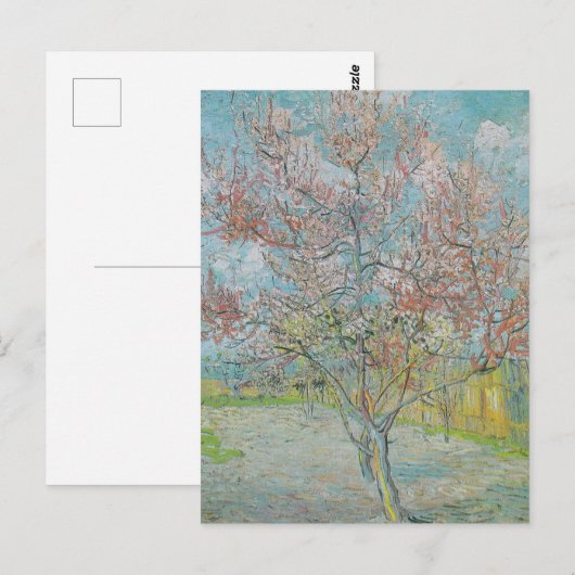 Carte Postale Arbre de pêche à fleurs (Devant / Derrière)