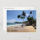 Carte Postale arbre de plage unawatuna (Devant / Derrière)