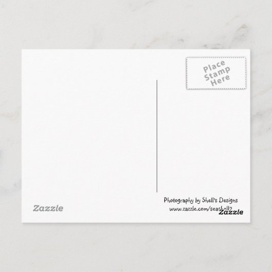 Carte Postale Arbre de pomme Java (Dos)