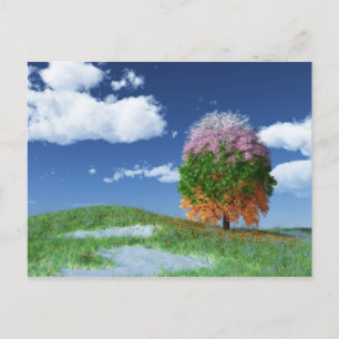 Carte postale Arbre de saison